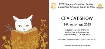 Осенняя выставка кошек