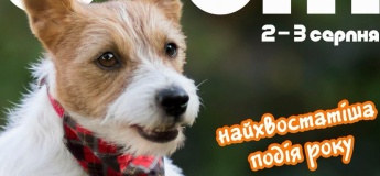 Хвостик Фест