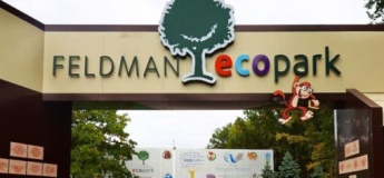 Бал хризантем в Фельдман Екопарк