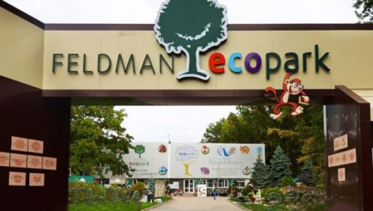 Бал хризантем в Фельдман Екопарк