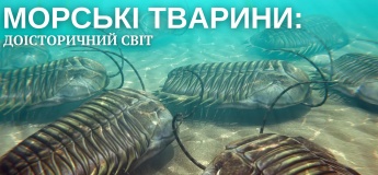 Морские животные: доисторический мир