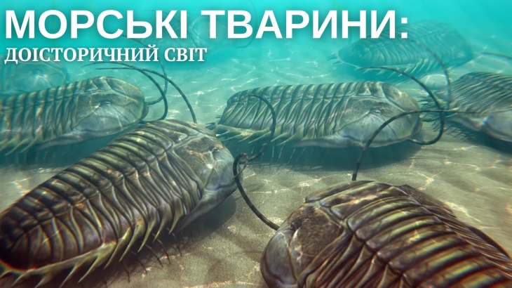 Морские животные: доисторический мир