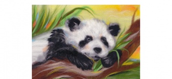 Картина з шерсті. Картина з вовни