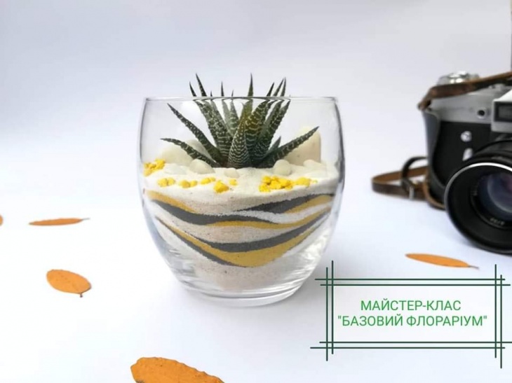 Майстер-клас базовий флораріум