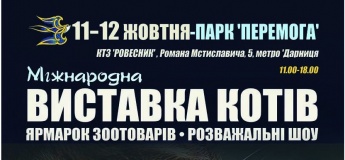 Міжнародна виставка котів