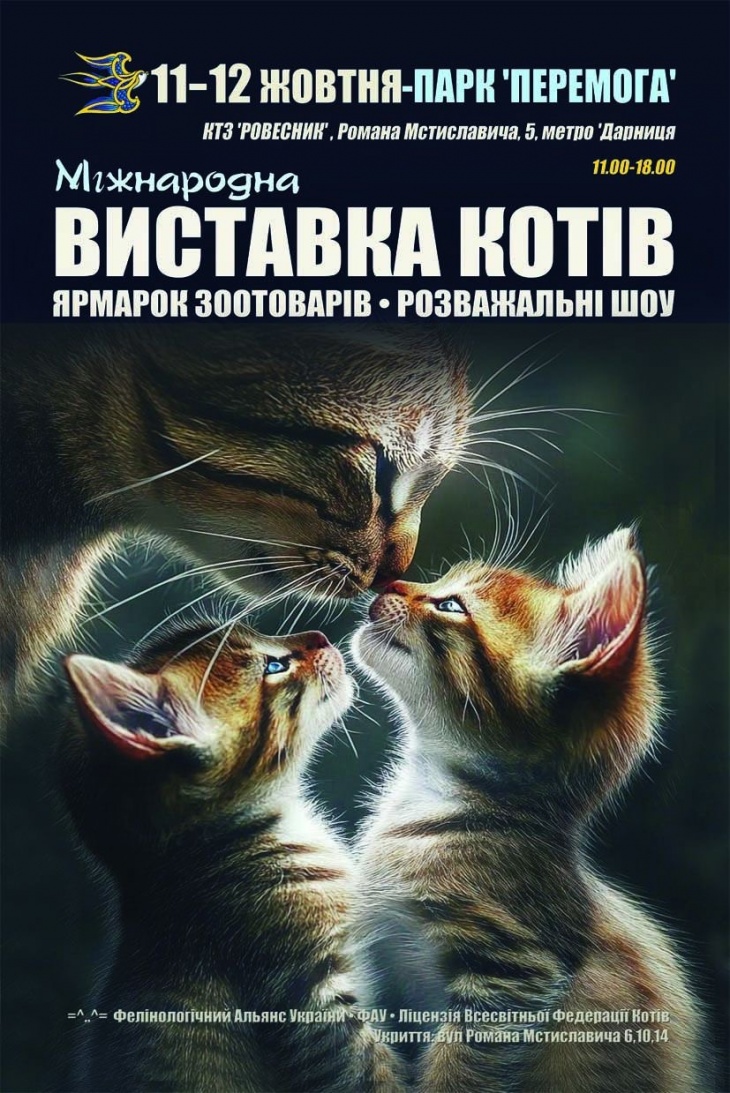 Міжнародна виставка котів