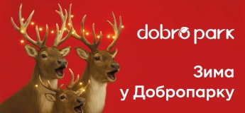 Зима за городом в Добропарке