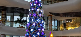 Свято Миколая та Відкриття ялинки