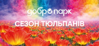 Сезон тюльпанів у Добропарку