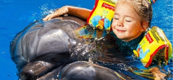 Харьковский дельфинарий NEMO