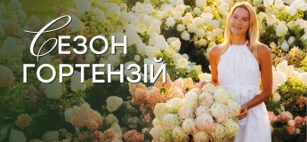Сезон гортензій у Добропарку