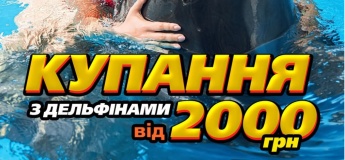 Купание с дельфинами
