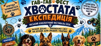Городской кинологический фестиваль «Гав-гав фест»
