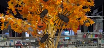 Фотозона до Hallowen в ТРЦ "NEO PLAZA"