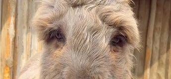 Эковыходной в Аквазоо