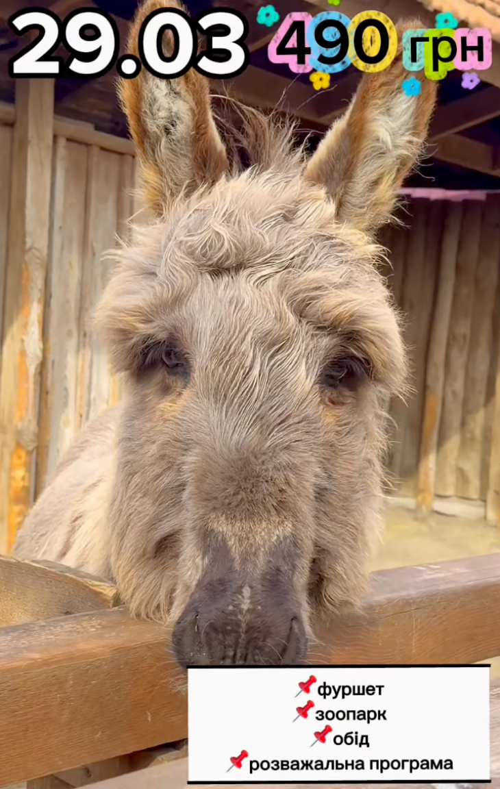 Эковыходной в Аквазоо