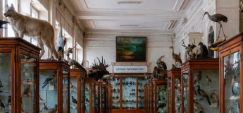 Екскурсія до зоологічного музею