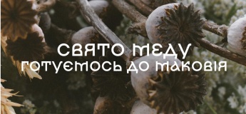 Праздник меда в Музее под открытым небом