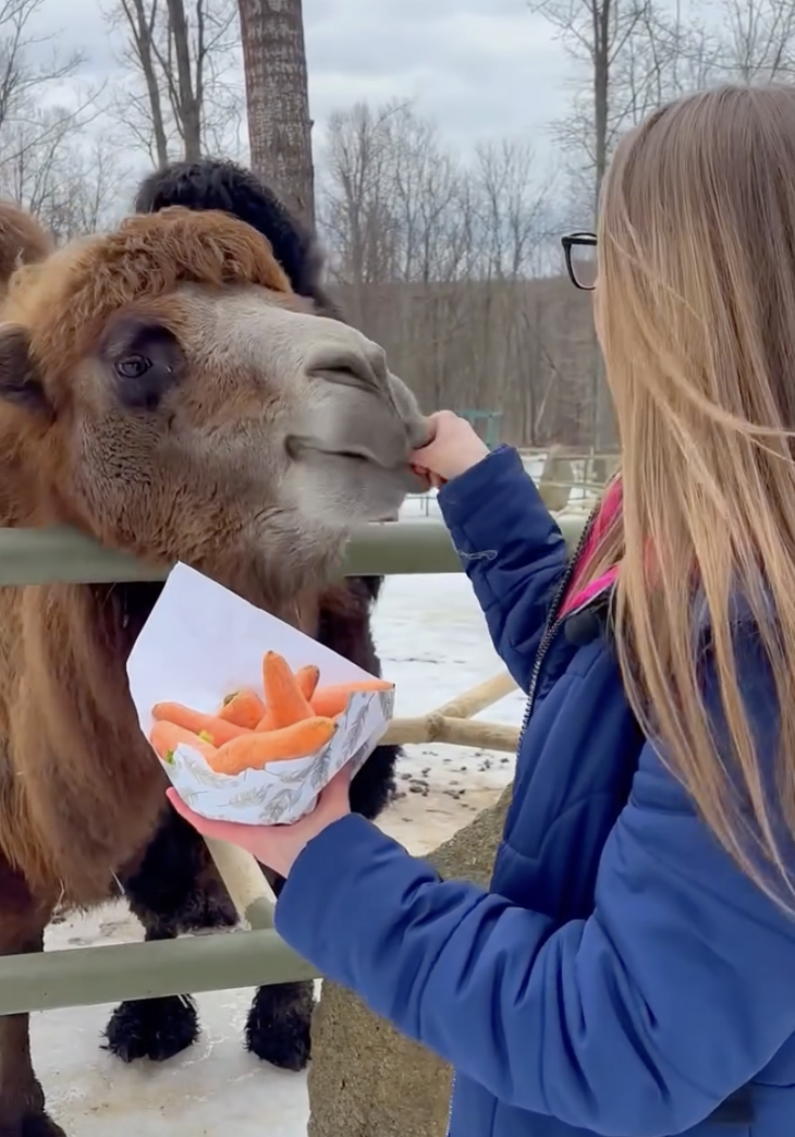 Свято у Фельдман Экопарк