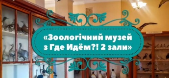 Йдемо до Зоологічного музею
