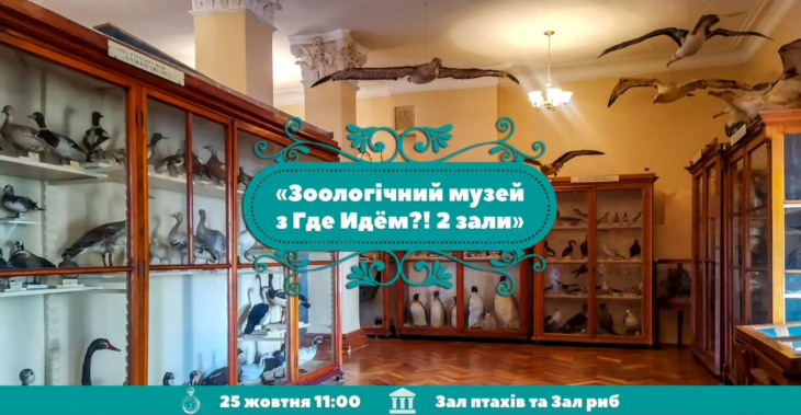 Йдемо до Зоологічного музею