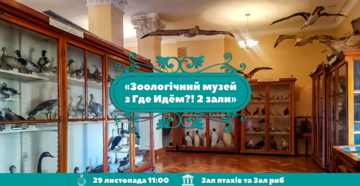 Идем в Зоологический музей Идем в Зоологический музей