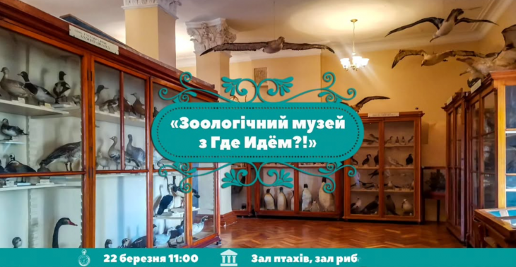 Идем в Зоологический музей