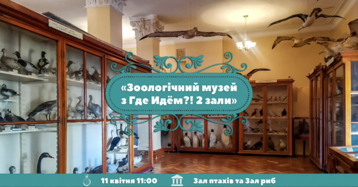 Йдемо до Зоологічного музею