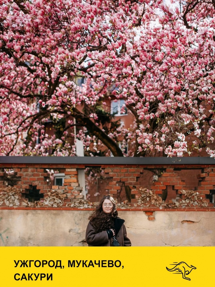 Вихідні у Закарпатті: Ужгород, Мукачево, сакури