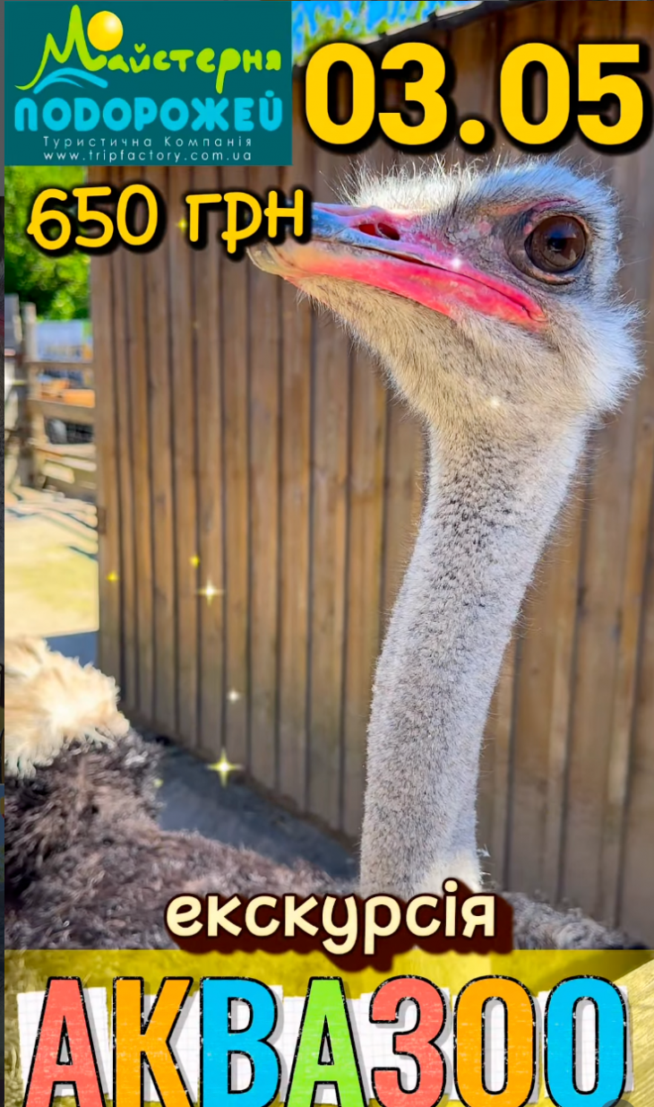 Еко вихідний у садиби сільського туризму Аквазоо