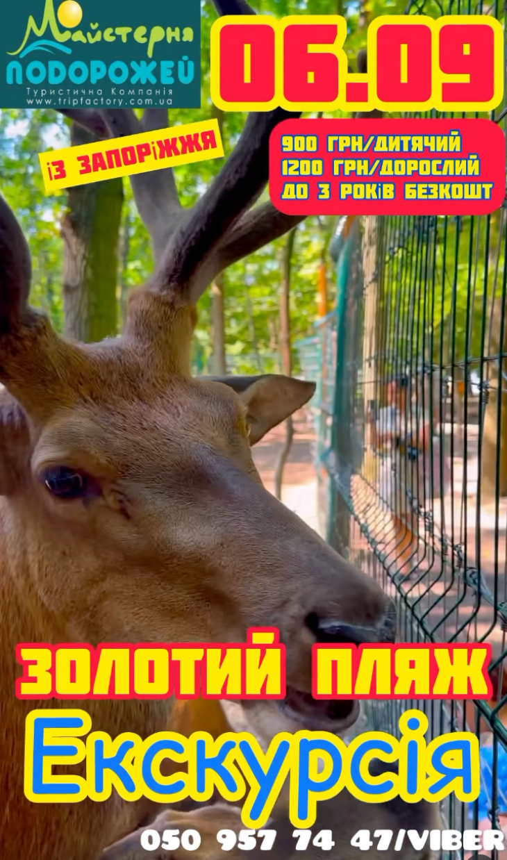 Запрошуємо до унікального місця "Золотий пляж" Запрошуємо до унікального місця "Золотий пляж"