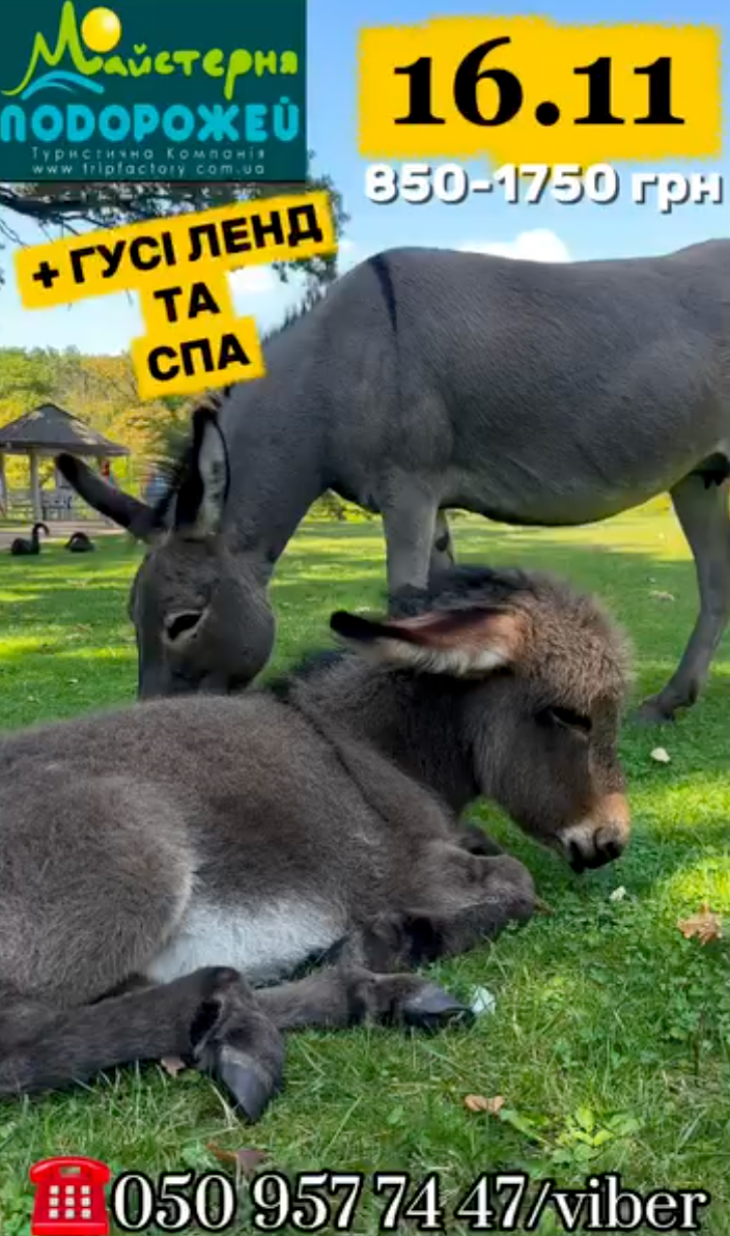 Запрошуємо до унікального місця "Золотий пляж"