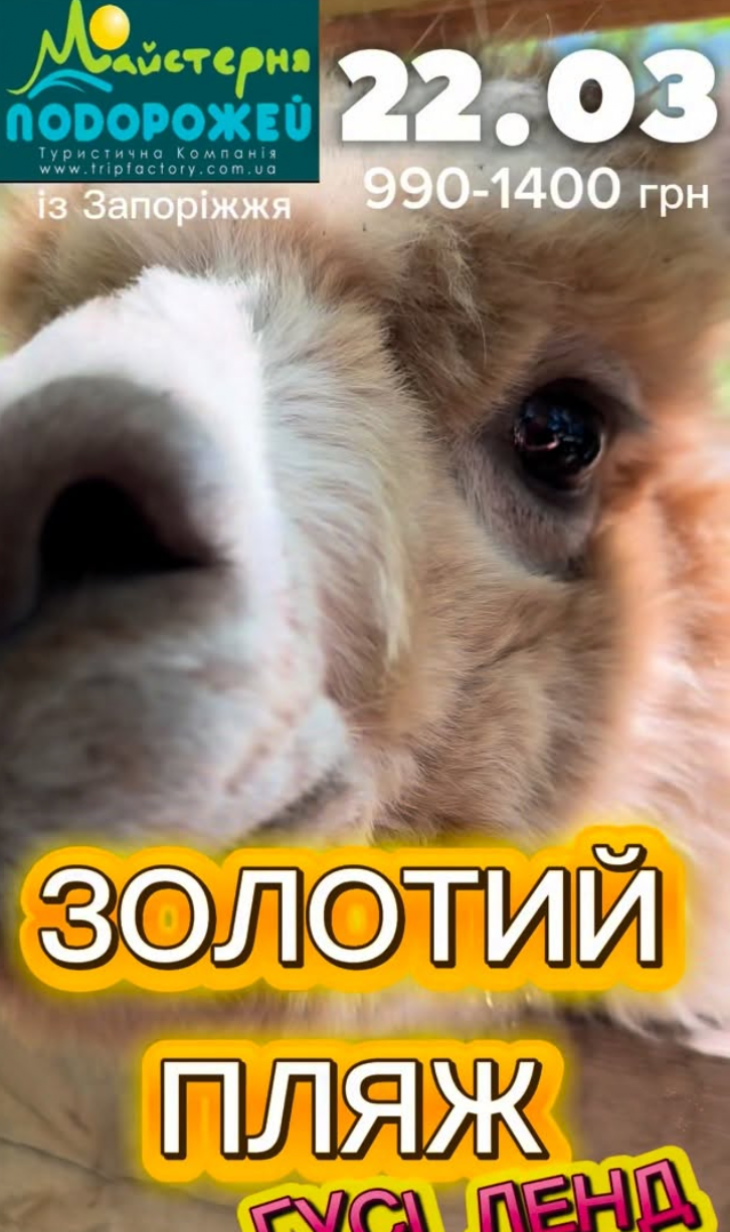 Приглашаем к уникальному месту "Золотой пляж"