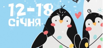 Развлекательная программа в PAPASHON KIDS