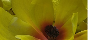 Весенние локации в Харькове