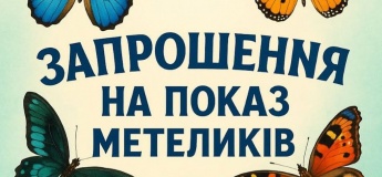 Інтерактивна подія "Знайомство з метеликами"