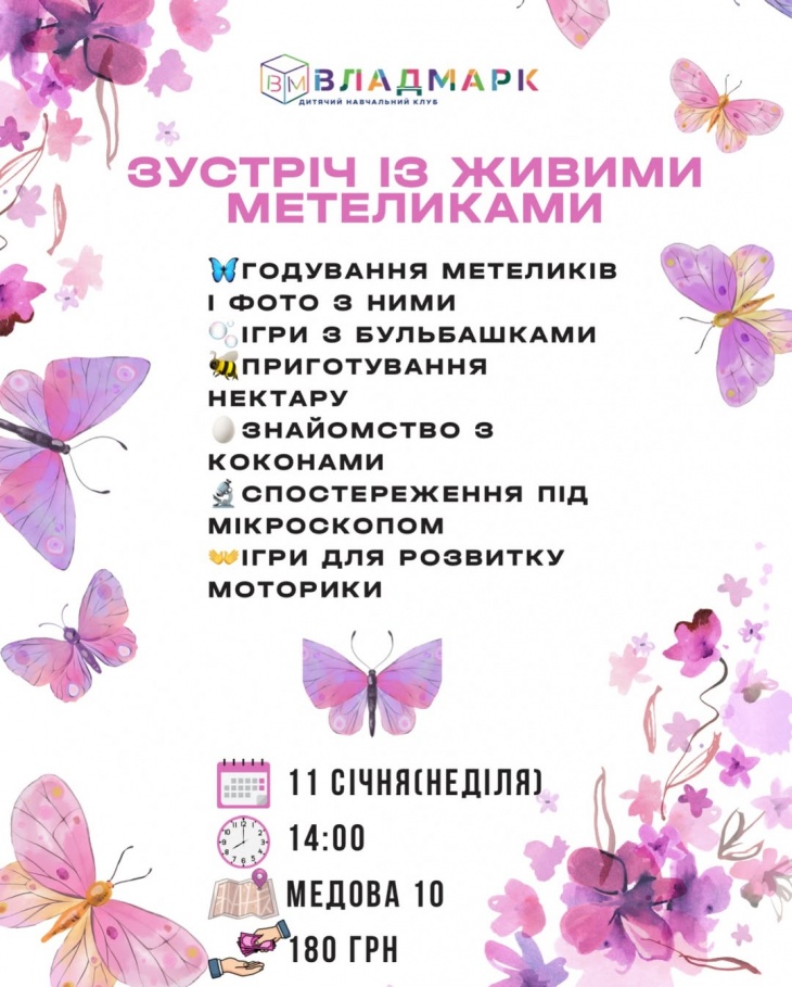 Зустріч із живими метеликами