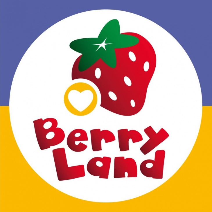День Конституции в Berry Land