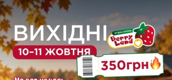 Розважальні програми у Berry Land