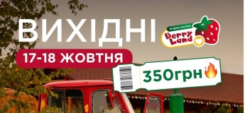 Развлекательные программы в Berry Land