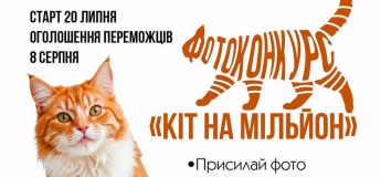 Фотоконкурс "Кот на миллион"