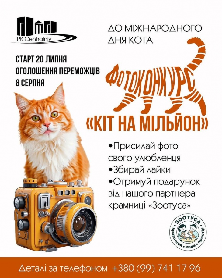 Фотоконкурс "Кот на миллион" Фотоконкурс "Кот на миллион"