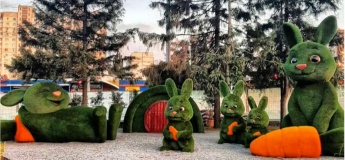 Фотозона на “Олексіївській”