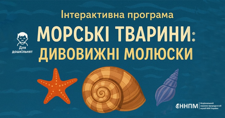 Дивовижні молюски: Морські тварини-2 для дошкільнят