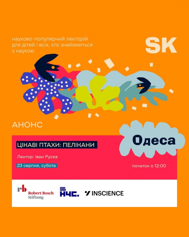 Цікаві птахи: пелікани