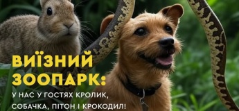 Выездной зоопарк в "Счастье"