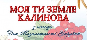 Святковий концерт до Дня Незалежності України
