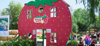 Большой праздник ко Дню Флага и Дню Независимости в Berry Land