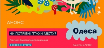 Нужны ли птицы городам?