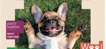 Dog Guru Fest